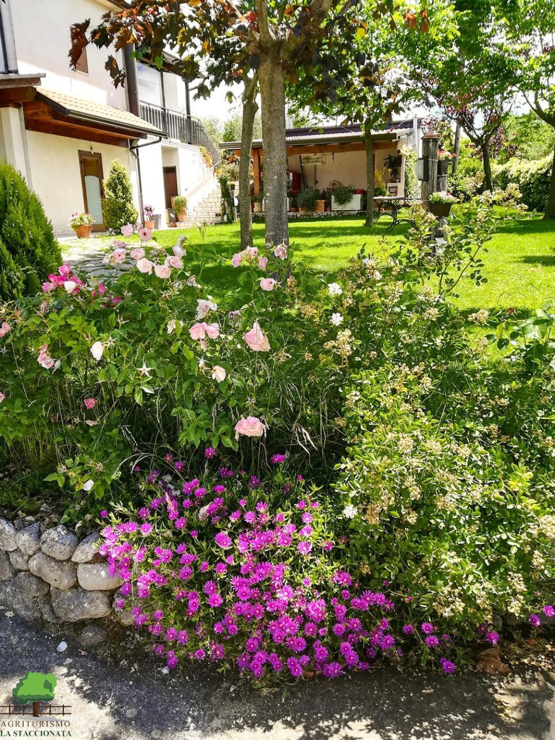Villa La Staccionata Arpino Exterior foto